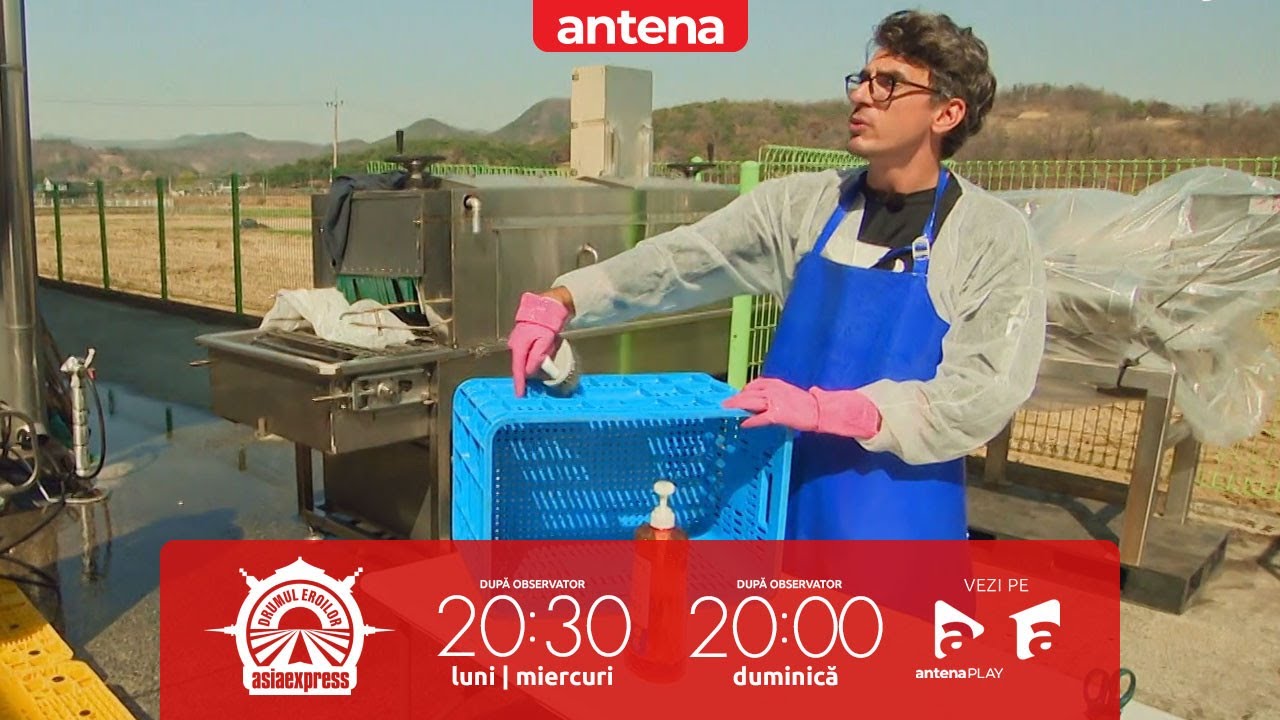 Alexandru Ion, criză de nervi la Asia Express: E nesimțit!