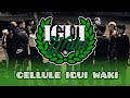 CELLULE IGUI WAKI ♻️💯 RESPECTE LES SUPPORTERS 🤝👏 GROUPE SUPPORTERS DCHEIRA 🏆✅️