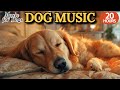 강아지가 좋아하는 음악🐶💖강아지 수면 음악 24시간🐶🎵분리불안 완화를 위한 음악🎵혼자 있을 때 듣기 좋은 편안한 음악🎵외출할때 출근할때 꼭 틀어주세요 by 힐링메이트