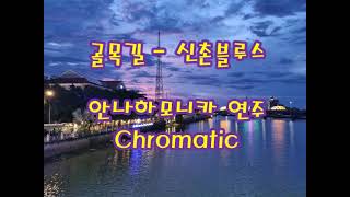 골목길 - 신촌블루스 안나하모니카연주 (Chromatic)