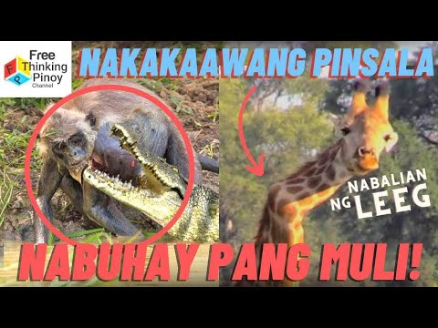 Video: Ang pinakalumang mga gusaling paninirahan pa rin ang naninirahan: Nasaan ang mga gusaling ito at kung ano ang hitsura nito?