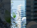 星宮とと× Inuとの楽曲「tell!」をリリース。Dolby Atomsも同時配信!