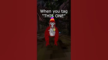 I hate modders  #gorillatag #gtag #modder #mod #cheating #cheat #russianhat