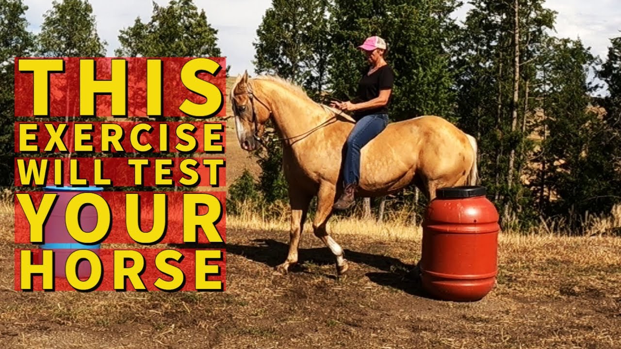 TRAIN A HORSE TO RIDE WESTERN ONE HANDED YouTube TRAIN A HORSE TO RIDE WESTERN ONE HANDED YouTube