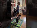 Running through a tunnel - #puppy agility. #doglove