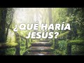 ¿Qué haría Jesús? (Reflexión #21) - Ana Olondo