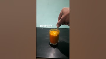 Lemon+Deterjent+Turmeric Reaction   #shorts