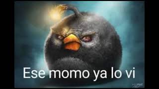 Ese Momo Ya Lo Vi