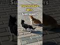 Animals With Superpowers 🦎 Top 5!