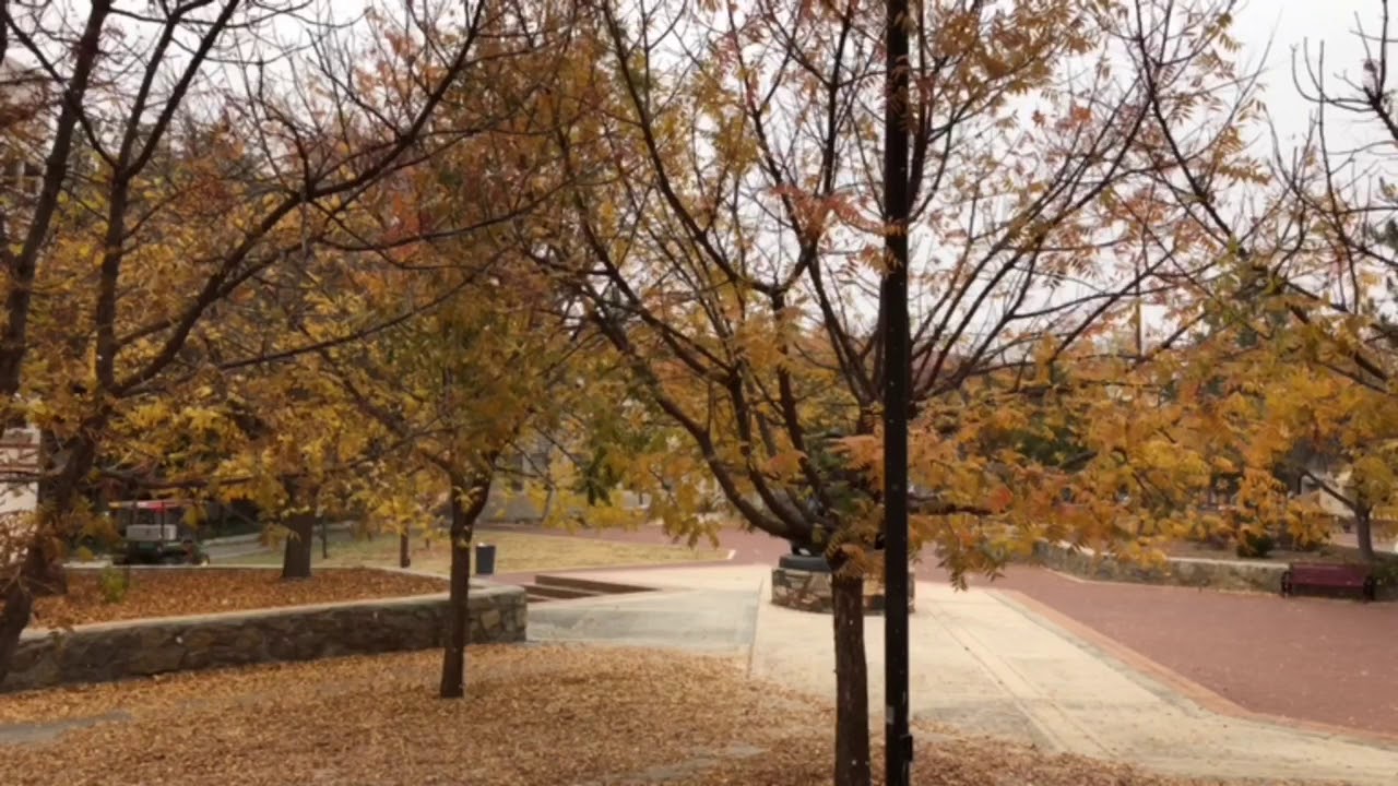 Snow in Las Cruces New Mexico 2017 YouTube