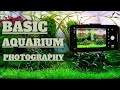 HOW TO: Take Good Aquarium Photos - Basic Guide To Aquarium Photography