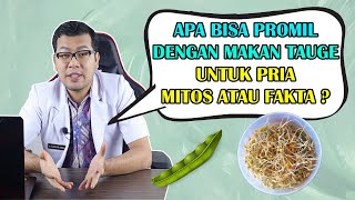 Caraku membuat toge tanpa disiram  || tips mudah dan praktis membuat kecambah di rumah