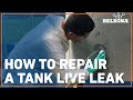 How to Stop and Repair a Tank Live Leak