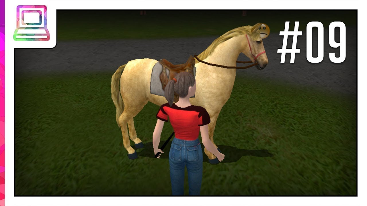championship horse trainer