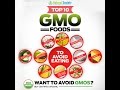 Top 10 GMO Foods to Avoid
