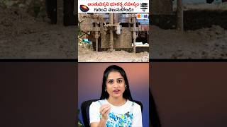 మీరు నిజంగా భూమి మధ్యలో తవ్వగలరా?🤔 #shorts #sirishakandula