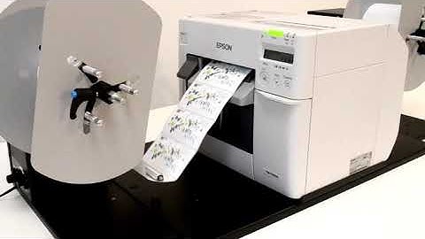 Epson 3500 label unwinder rewinder