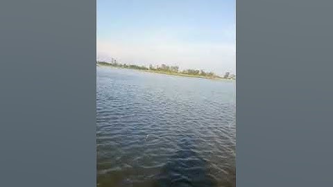 Cùng tía Ra đồng giăng lưới cá Linh