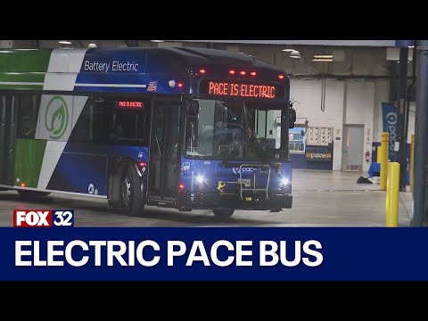 Pure 358 Pace Bus Schedule Land - pelgepl