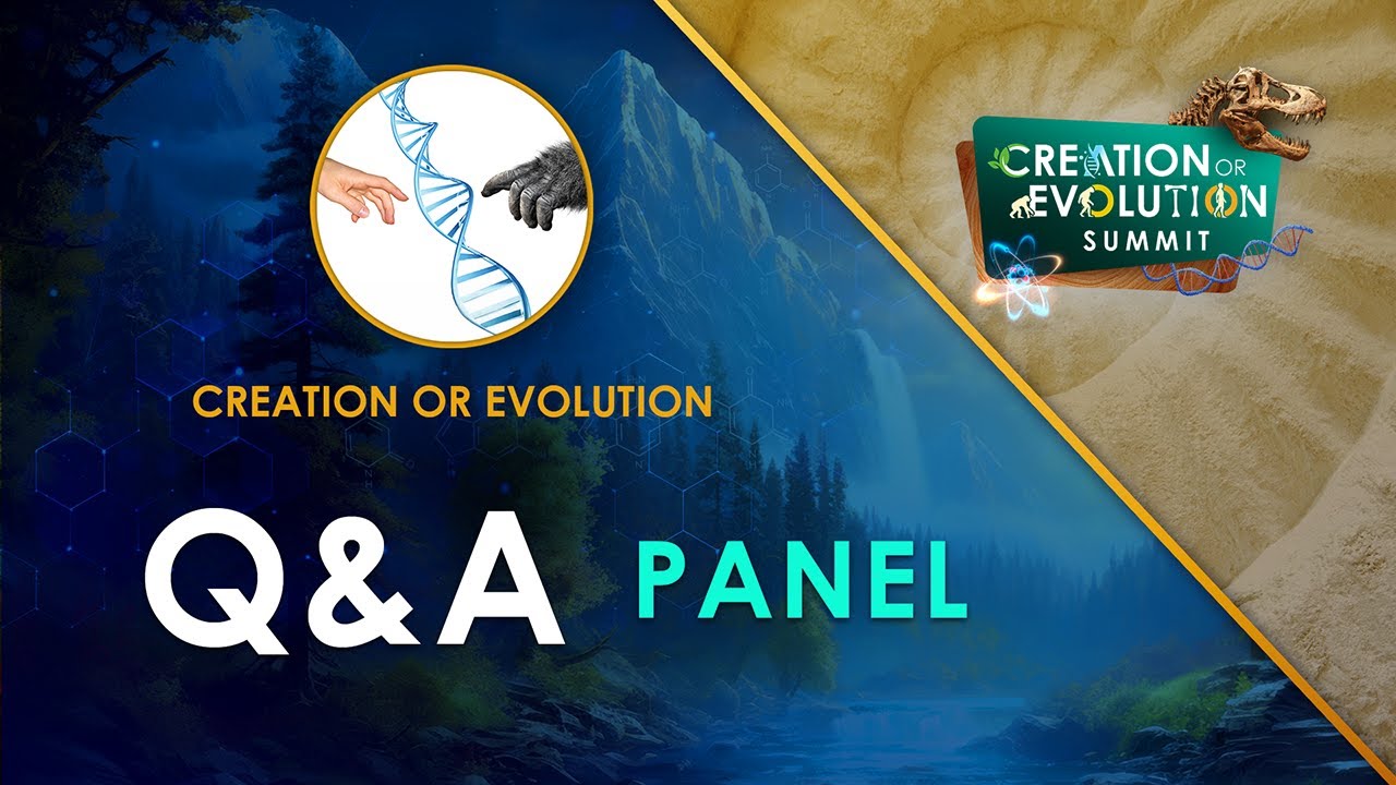 Creation or Evolution: Q&A Panel - YouTube
