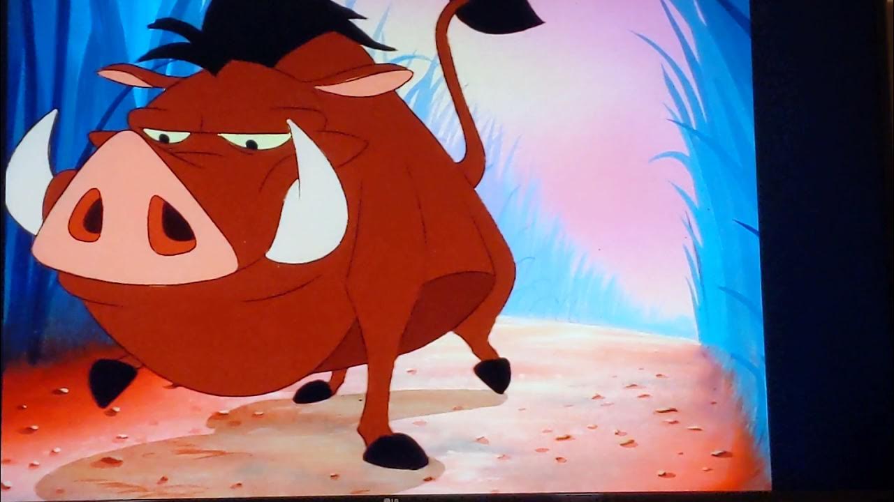 TLK How Timon and Pumbaa meet (TV show) YouTube