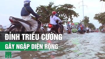 TP.HCM: đón triều cường đạt đỉnh, cảnh báo ngập sâu| VTC14