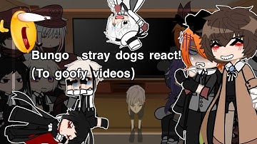 Bungo stray dogs react! (Not serious) read desc!