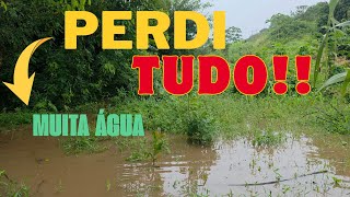 Muita chuva na Paraiba! A água alagou minhas frutíferas.