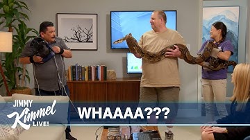 Guillermo Tries to Conquer His Fear of Snakes