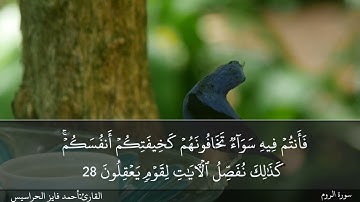 الصفحة 407 سورة الروم بصوت القارئ المهندس أحمد فايز الحراسيس