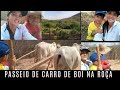 UMA TARDE NA ROÇA | ANDAMOS DE CARRO DE BOI COM MEU ESPOSO ME DIVERTI MUITO COM GABRIEL*MEU SOBRINHO