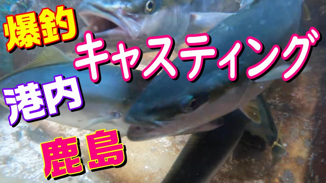 鹿島魚釣園よこ鉄柱ポイントはやっぱり このポイントは やっぱり鉄板ポイントだよねぇ ヒラマサにカンパチにシーバスにワラサって鹿島港内はパラダイスです Youtube
