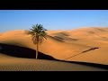 Ancient Arabian Music - Scorpion Desert