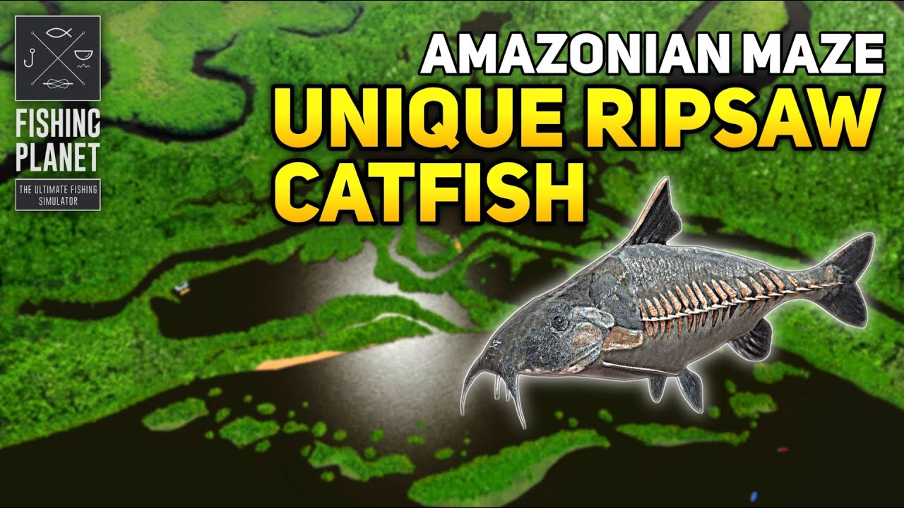 Unique Ripsaw Catfish Amazonian Maze - Fishing Planet - YouTube