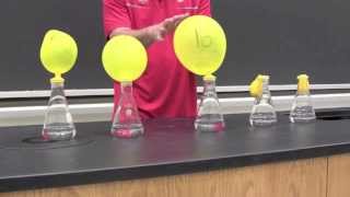 Video Demonstration: Chemical Reactions Involving Gas Formation Part 2