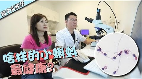 探秘精子實驗室！抽煙、盤腿、蒸桑拿都是精子殺手。廚師也躺槍？ - 天天要聞