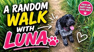 🐶 Fresh Air & Happy Paws | A Random Walk With Luna 🌿✨