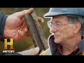 Oak Island Exploration Findings