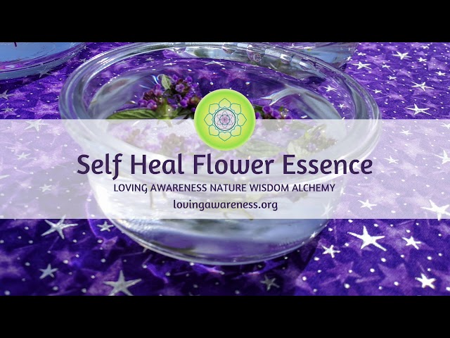 Self Heal Flower Essence