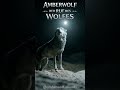 AMBERWOLF — DER RUF DES WOLFES (Ulfrs Erwachen) #vikingmusic #darkambient #amberwolf