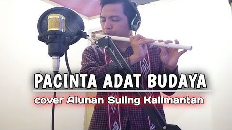 PACINTA ADAT BUDAYA || cover Alunan Suling Kalimantan