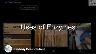 Uses of Enzymes, Biology Lecture | Sabaq.pk screenshot 1