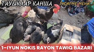 1-ИЮНЬ НОКИС РАЙОН ТАУЫК БАЗАР БАХАЛАРЫ КАНДАЙ...?/БРАМА ТУЙЕ ТАУЫК МАКЕН КОРАЗ ШОЖЕ БАХАЛАРЫ КАНДАЙ