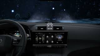 DS IRIS SYSTEM