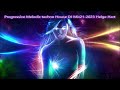 Progressive Melodic techno House DJ Mix21 2023 Helge Hart