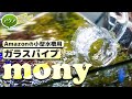 【アクアリウム】Amazonの小型水槽用ガラスパイプ『Monyリリィパイプスピン』 #アクアリウム #mony