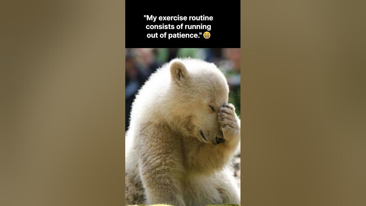 google-trends-memes-a-hilarious-look-at-the-internet-s-obsessions