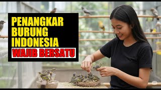 PENANGKAR BURUNG INDONESIA WAJIB BERSATU, INILAH ALASAN KENAPA - setuju atau gak !! BOLEH KOMENTAR