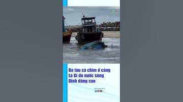 3 tàu cá chìm ở cảng La Gi do nước  sông Dinh dâng cao #chimtau #lagi