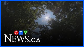Details Heat warnings continue with temperatures to hit mid 30s Update